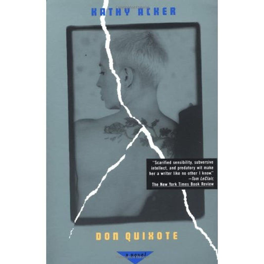Don Quixote: A Novel (Acker, Kathy) cover image