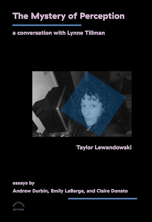 The Mystery of Perception: A Conversation with Lynne Tillman cover image