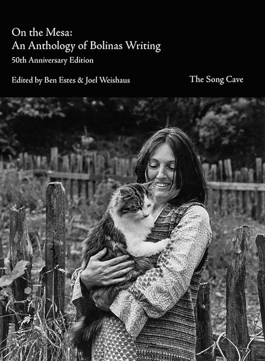 On the Mesa: An Anthology of Bolinas Writers cover image