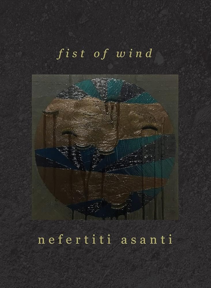 fist of wind cover image