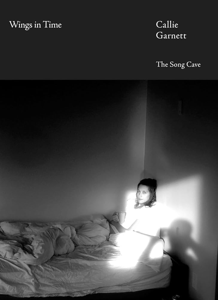 Wings in Time cover image