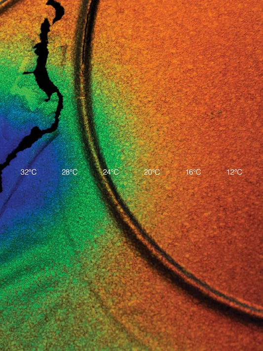 Cooper Jacoby How Do I Survive ? /anglais cover image