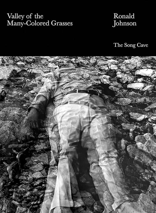 Valley of the Many-Colored Grasses cover image