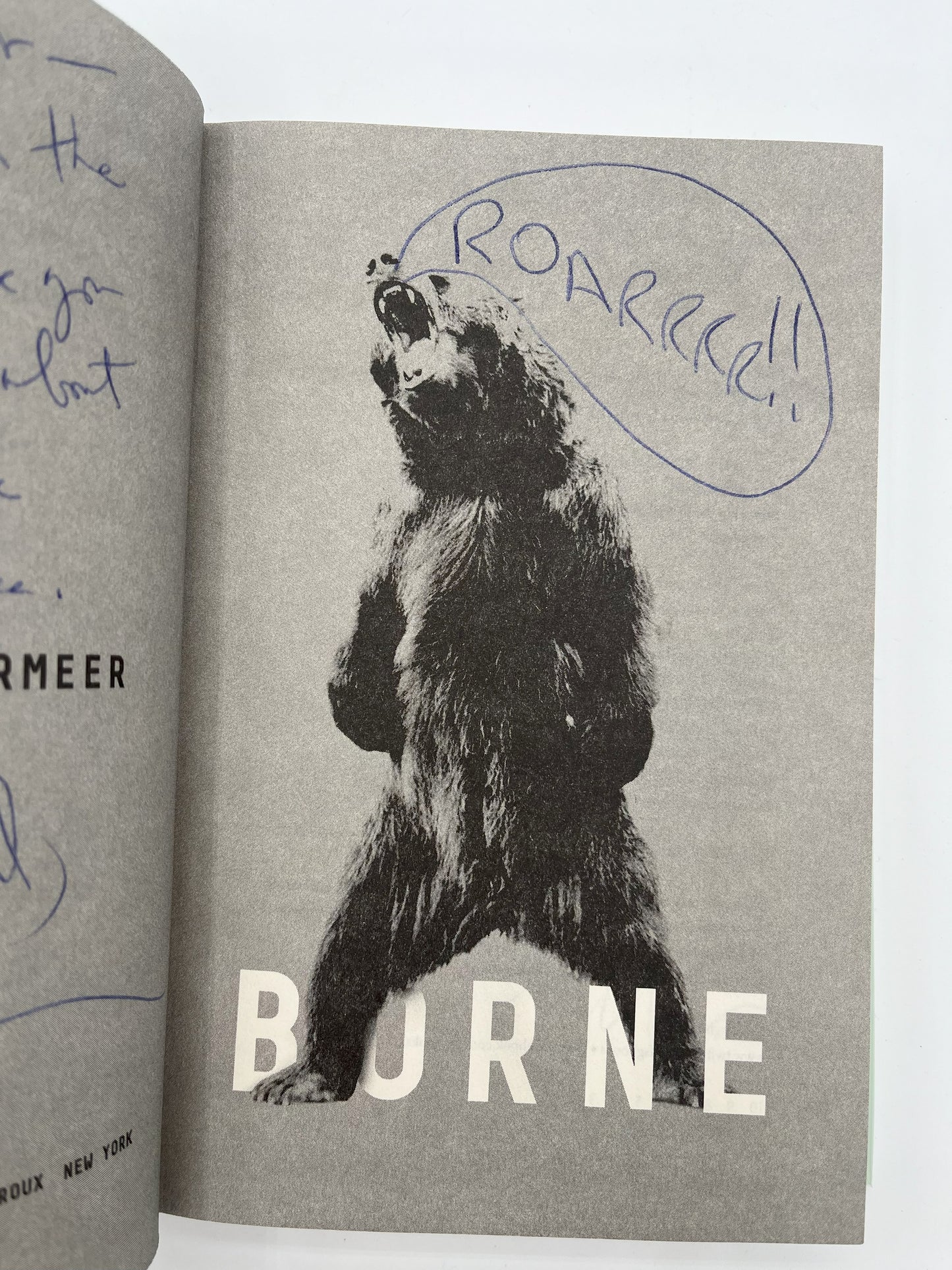 Borne, inscribed with drawings by author