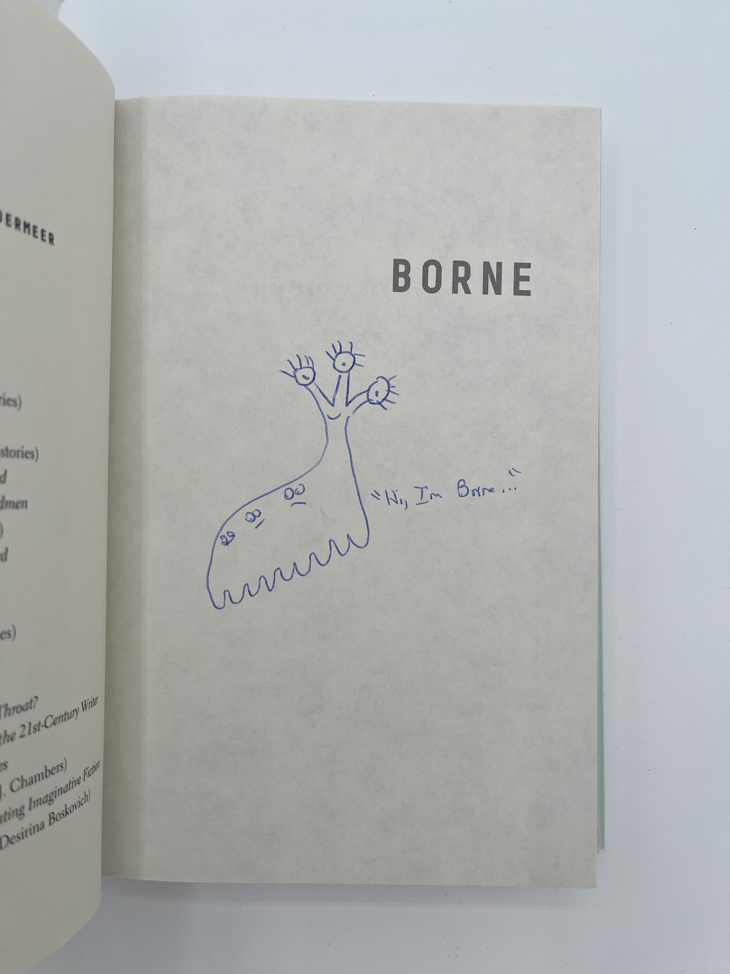Borne, inscribed with drawings by author