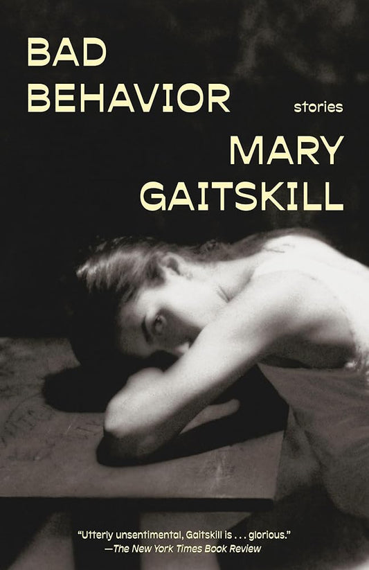 Bad Behavior: Stories (Vintage Contemporaries) cover image
