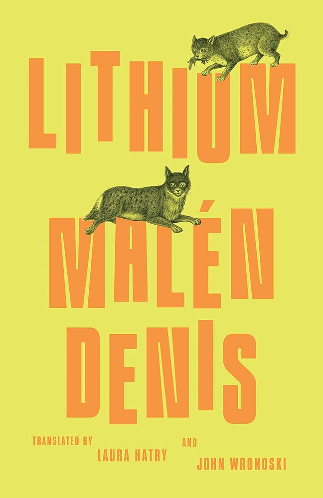 Lithium cover image