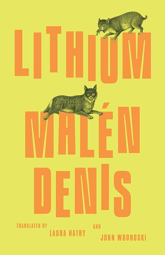 Lithium cover image