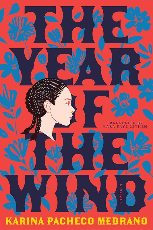 The Year of the Wind: A Novel cover image