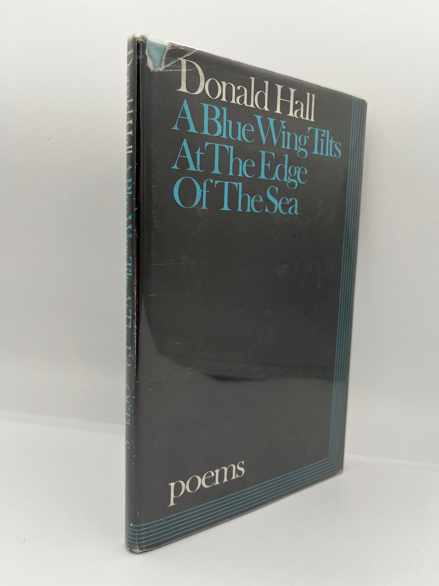 A Blue Wing Tilts at the Edge of The Sea, inscribed