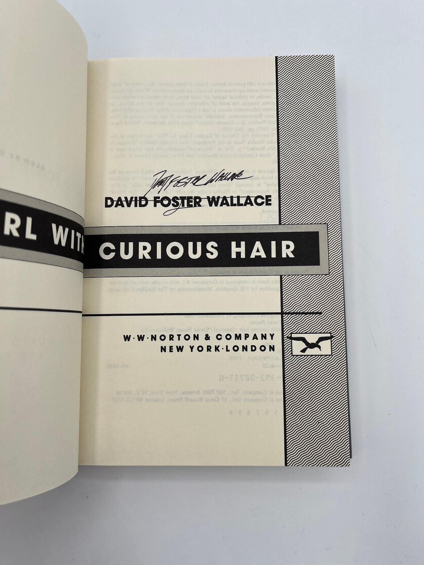 Girl with Curious Hair, signed